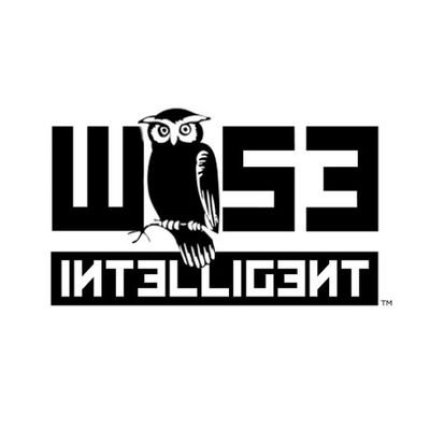Wise intelligent2